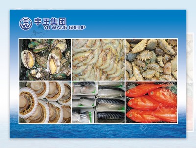 从海洋到餐桌 水产品与海鲜的定义与魅力