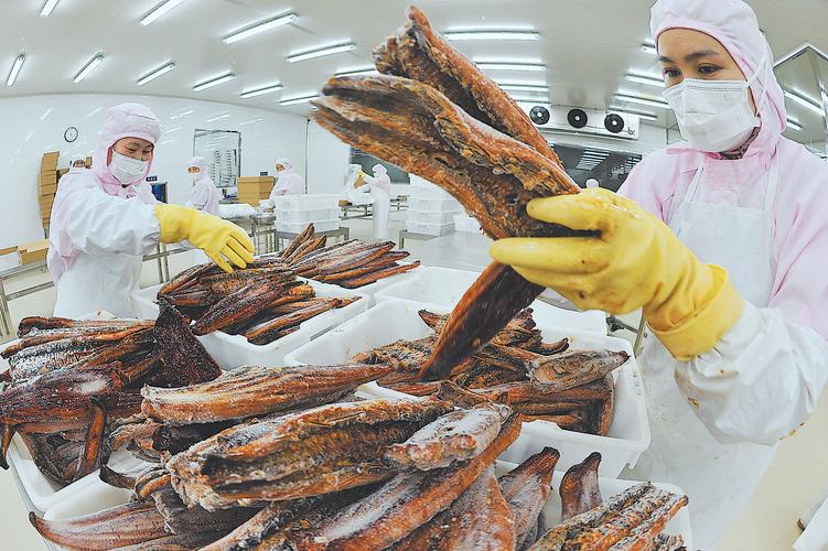 宁德金盛水产投资逾3000万元建设烤鳗生产线，提升水产精深加工能力