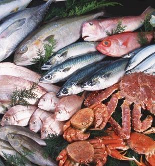 鑫洋水产品加盟 掘金蓝海市场的优质选择